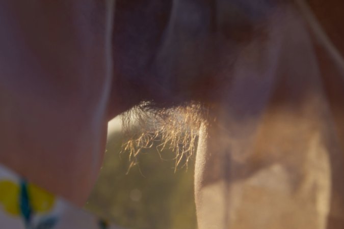 Milena D teases with spread legs and hairy pussy, nipples erect in the breeze — Milena D #8